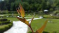 /album/le-bellezze-di-villa-cerreto/a20140518-162503-jpg/