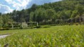 /album/le-bellezze-di-villa-cerreto/a20140518-162711-jpg/