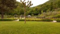 /album/le-bellezze-di-villa-cerreto/a20140518-172908-jpg/