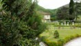 /album/le-bellezze-di-villa-cerreto/a20140518-173811-jpg/